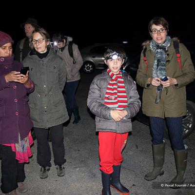 Sur le départ pour une promenade nocture