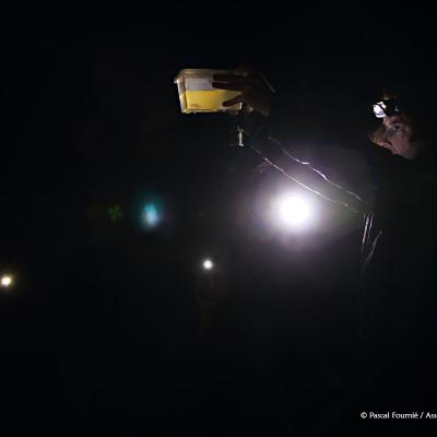 Les amphibiens observés sous tous les angles